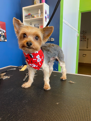 Pet Store «Healthy Pets Mountain West», reviews and photos, 2352 Fort Union Blvd, Cottonwood Heights, UT 84121, USA