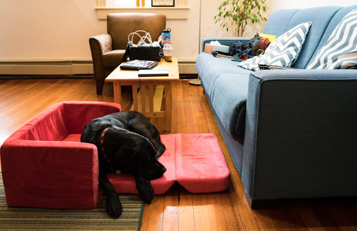 Coworking Space «Anchorspace», reviews and photos, 337 Main St, Bar Harbor, ME 04609, USA