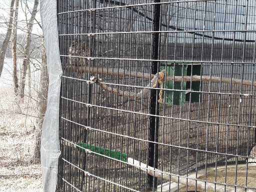 Recreation Center «Little Red Schoolhouse Nature Center», reviews and photos, 9800 Willow Springs Rd, Willow Springs, IL 60480, USA