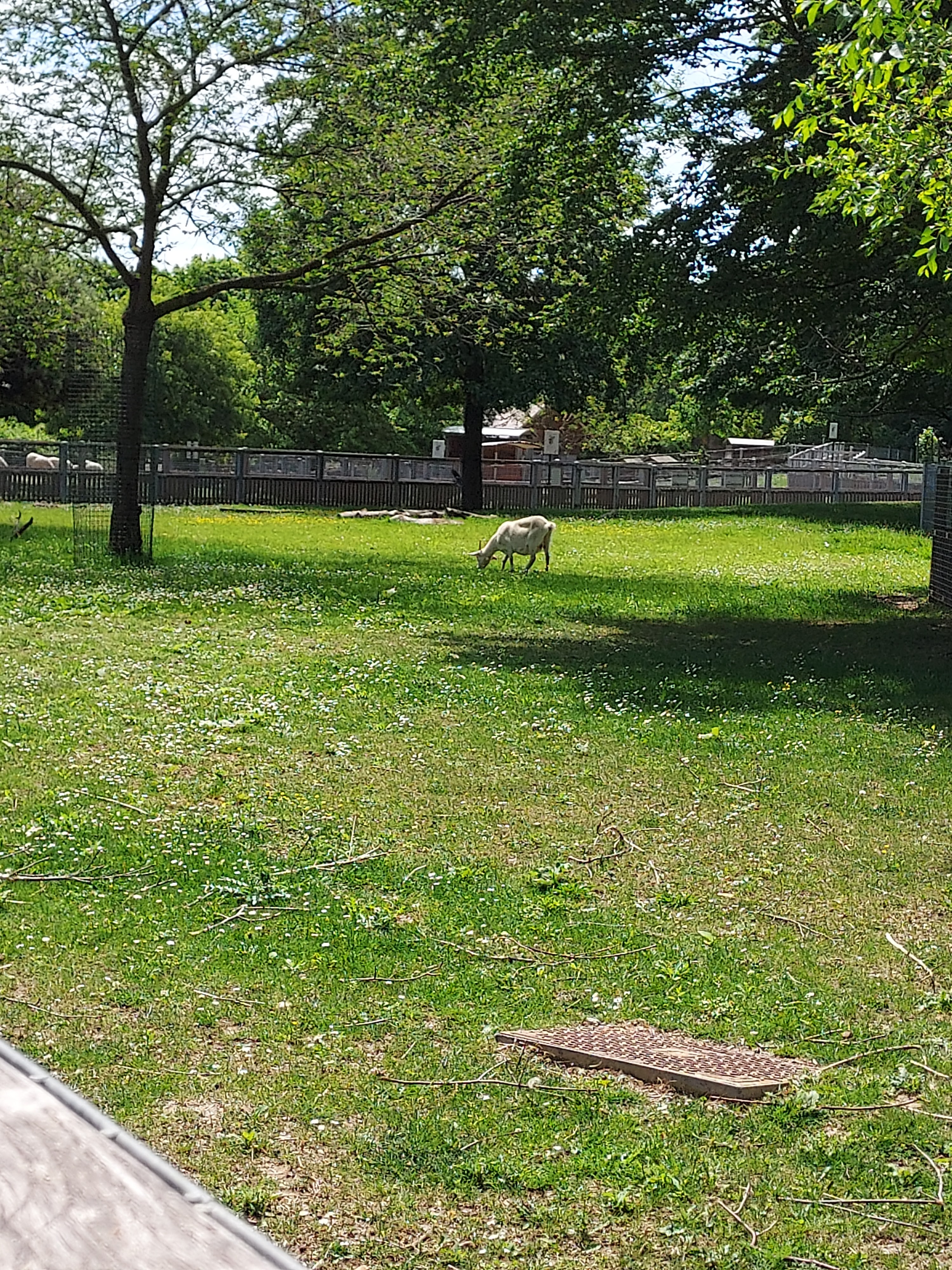 Photo n° 13 de l'avis de Viviane.a fait le 21/05/2022 à 14:29