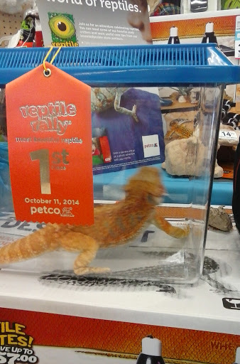 Pet Supply Store «Petco Animal Supplies», reviews and photos, 1080 Washington Square Center, Washington, MO 63090, USA