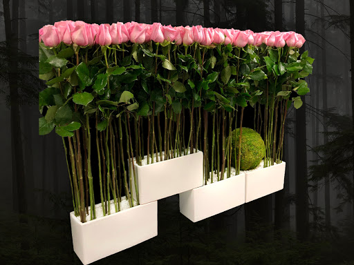 Florist «Amazing Flowers Miami», reviews and photos, 252 Sunny Isles Blvd #2b, Sunny Isles Beach, FL 33160, USA