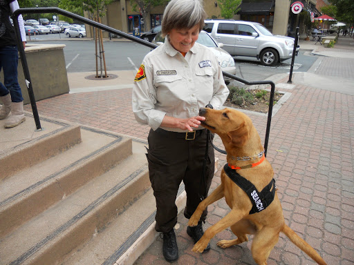 Pet Supply Store «Pet Food Express», reviews and photos, 3610 Mt Diablo Blvd, Lafayette, CA 94549, USA