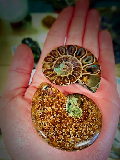 Rock Shop «Prospectors Crystals, Rocks & Gift Shop», reviews and photos, 1640 Gravois Rd, High Ridge, MO 63049, USA