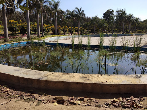 Nehru Park, Delhi