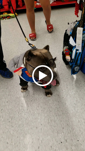 Pet Supply Store «Petco Animal Supplies», reviews and photos, 10 Waterfront Pl, Port Chester, NY 10573, USA