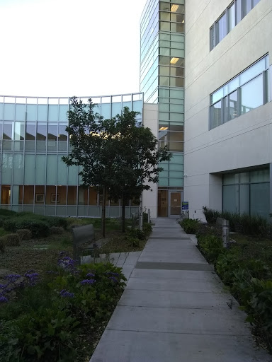 Regional Medical Center - 7