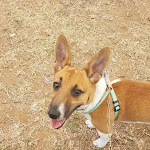 Photo n°1 de l'avis de Antonio.a fait le 15/08/2021 à 10:28 sur le  Agriturismo L'Antico Carro à Barritteri