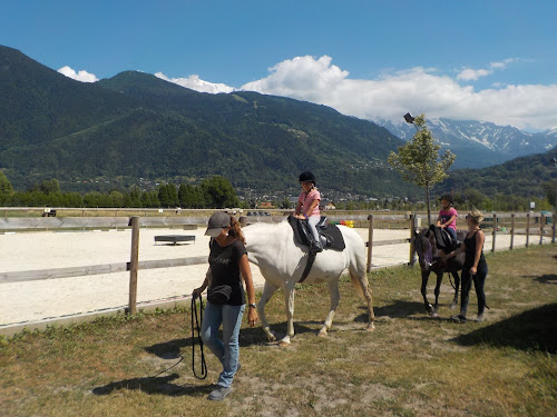 Cheval des Cimes à Passy