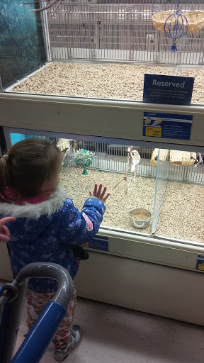 Pet Supply Store «PetSmart», reviews and photos, 1276 Bald Hill Rd, Warwick, RI 02886, USA