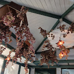 Photo n°3 de l'avis de manuela.a fait le 01/11/2022 à 08:24 sur le  Eclipse - to the food and back à Cagliari