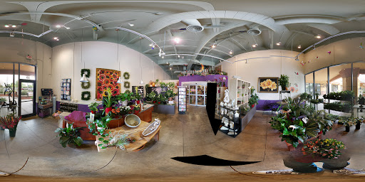 Cactus Flowers, 2040 S Alma School Rd, Chandler, AZ 85286, USA, 