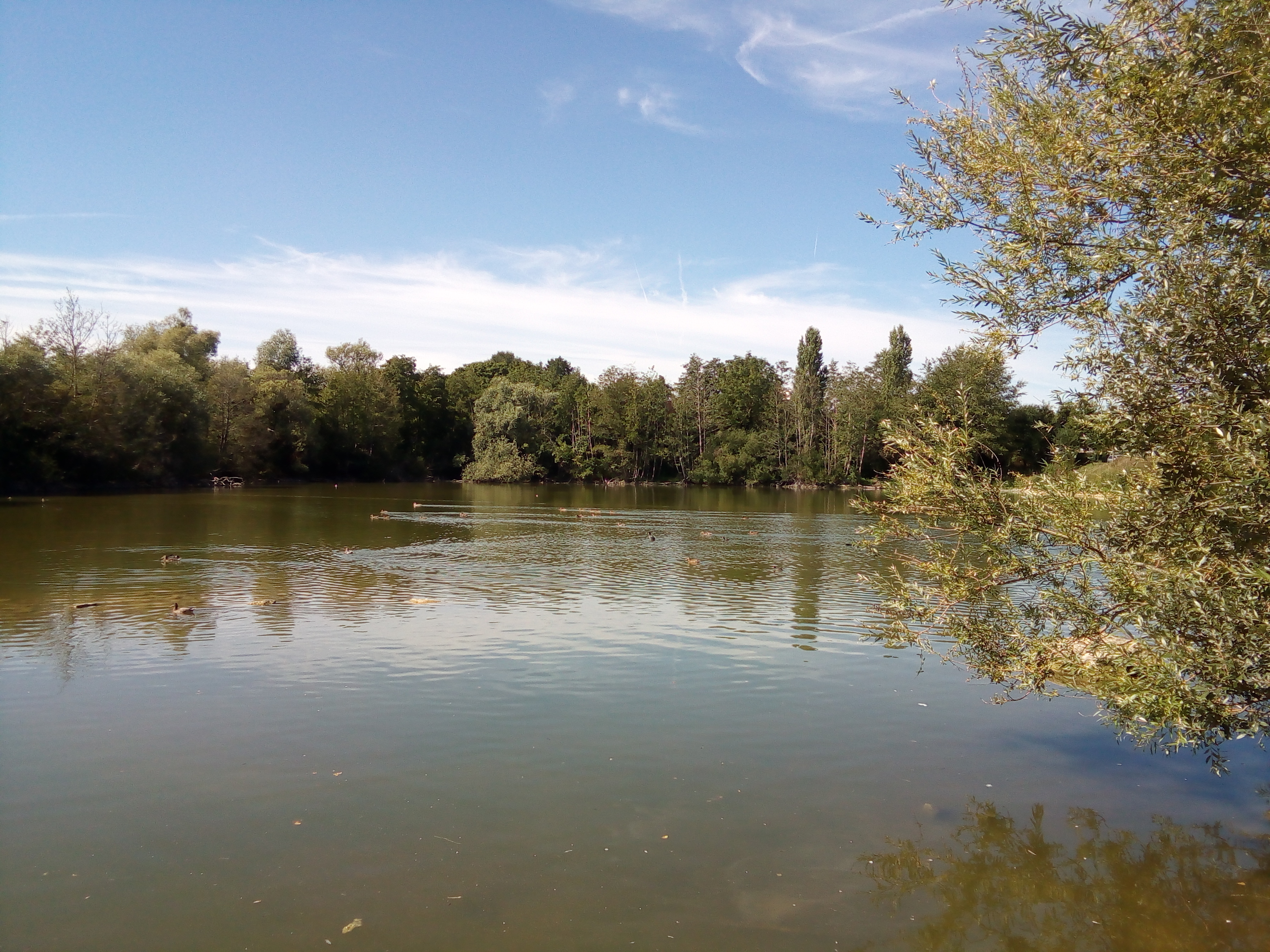 Photo n° 8 de l'avis de Angy.u fait le 30/08/2019 à 15:26