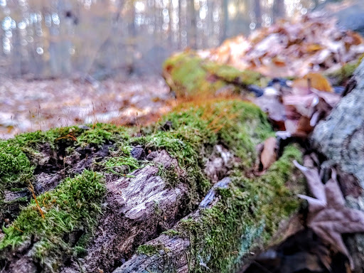 Park «Bechtel Park», reviews and photos, Naamans Rd, Claymont, DE 19703, USA