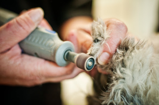 Pet Groomer «The Pet Bow-Tique», reviews and photos, 47 S Central Ave, Oviedo, FL 32765, USA