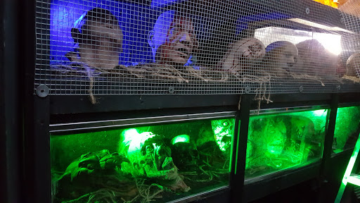 Amusement Center «Playland», reviews and photos, 5290 S Dort Hwy, Flint, MI 48507, USA