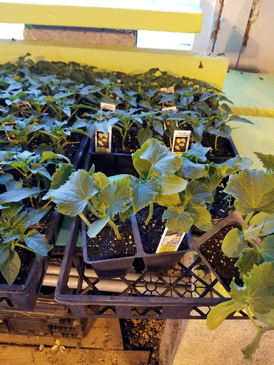 Florist «Lyndhurst Florist», reviews and photos, 5268 Mayfield Rd, Lyndhurst, OH 44124, USA