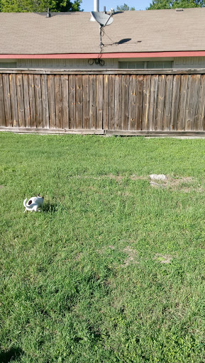 Park «Buckner Park», reviews and photos, 4550 Worth St, Dallas, TX 75246, USA