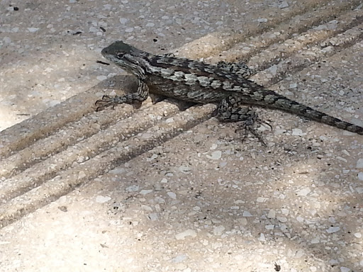 Golf Resort «TPC San Antonio», reviews and photos, 23808 Resort Pkwy, San Antonio, TX 78261, USA