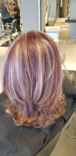 Beauty Salon «Tricho Salon and Spa», reviews and photos, 470 Briarwood Cir, Ann Arbor, MI 48108, USA