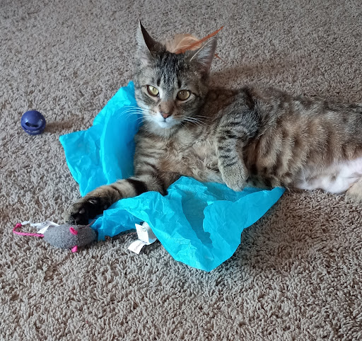 19861 Fitzgerald Trail N, Forest Lake, MN 55025, USA