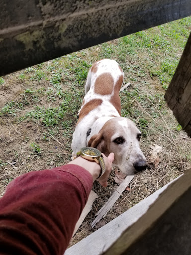 Outdoor Xtreme Angelica Paintball and Airsoft