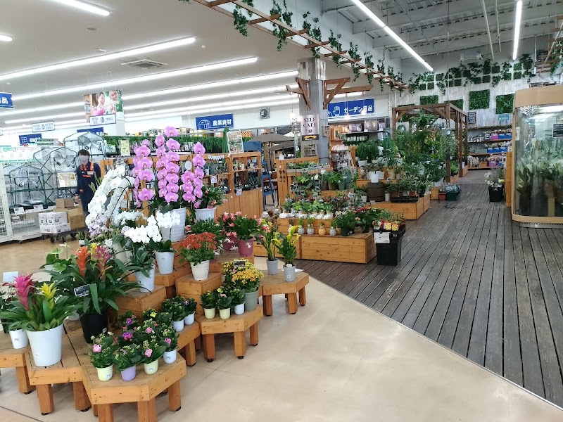 DCM 宝塚店