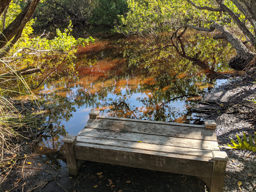 Non-Profit Organization «Sanibel-Captiva Conservation Foundation», reviews and photos, 3333 Sanibel Captiva Rd, Sanibel, FL 33957, USA