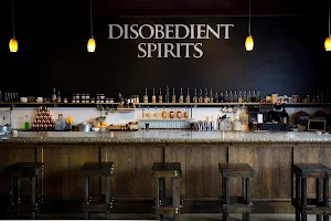 Disobedient Spirits image