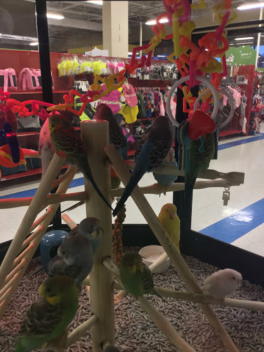 Pet Supply Store «Petco Animal Supplies», reviews and photos, 13053 Lee Jackson Memorial Hwy b, Fairfax, VA 22033, USA