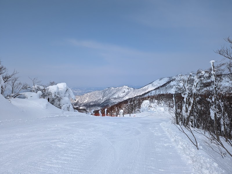 蔵王温泉スキー場 ダイヤモンドバレー