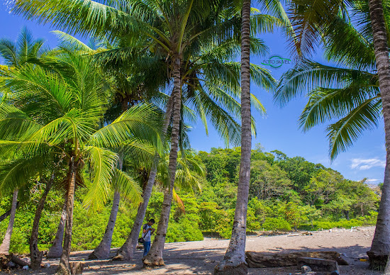 Quizales Beach