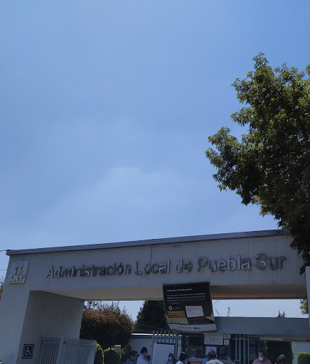 Tax advisor for individuals Puebla
