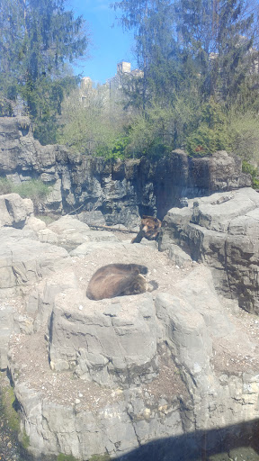 Zoo «Central Park Zoo», reviews and photos, E 64th St & 5th Ave, New York, NY 10021, USA