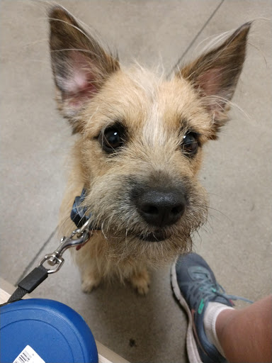 Pet Supply Store «Petco Animal Supplies», reviews and photos, 27580 W Lugonia Ave, Redlands, CA 92374, USA