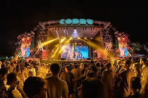 CODRU Festival image