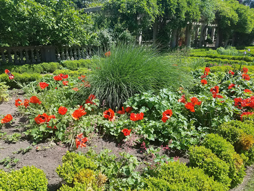 Art Museum «George Eastman Museum», reviews and photos, 900 East Ave, Rochester, NY 14607, USA