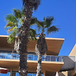 Photo n°1 de l'avis de King.o fait le 25/11/2023 à 02:57 sur le  Lago Montargil & Villas à Montargil