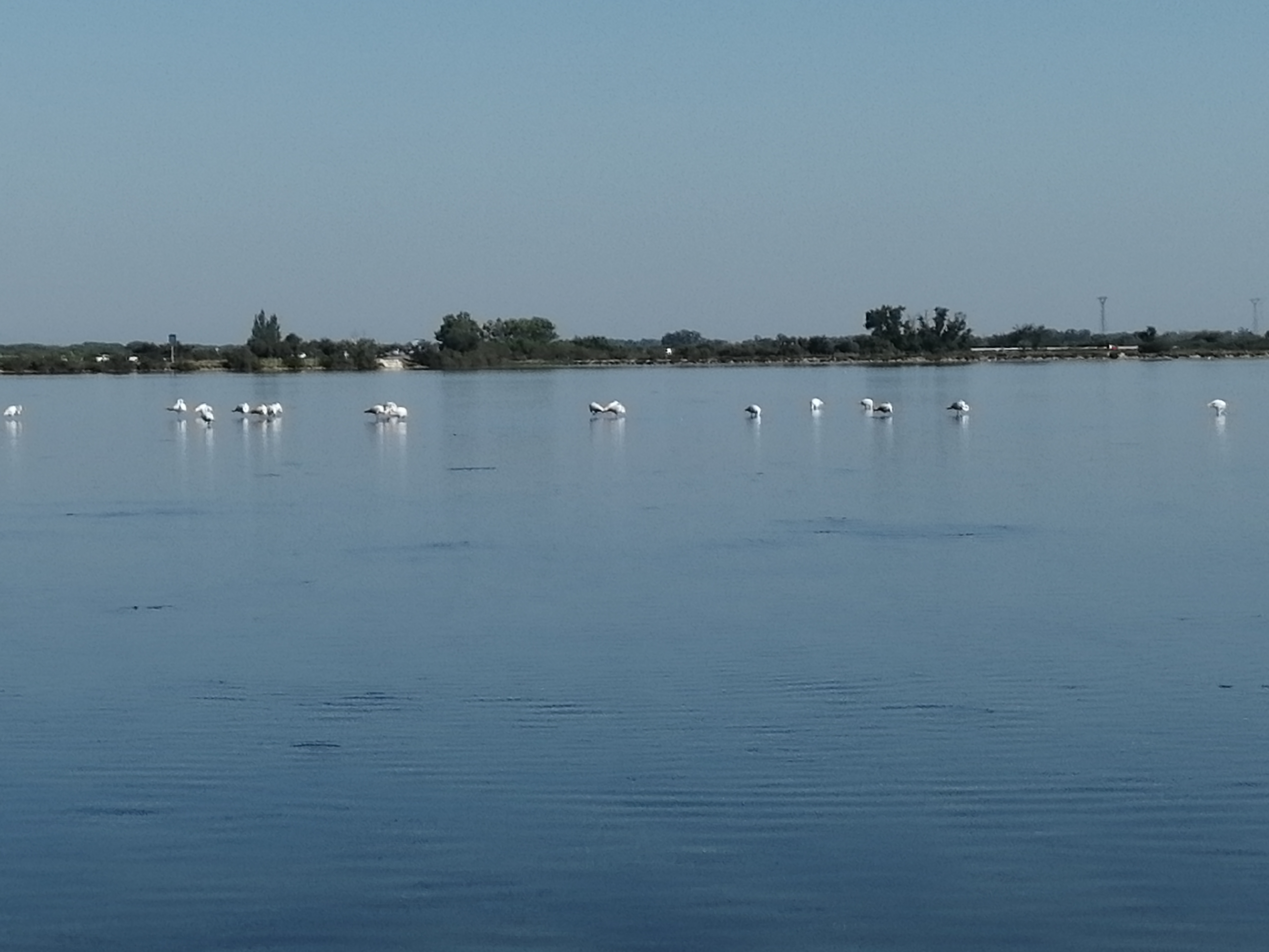 Photo n° 4 de l'avis de Kévin.a fait le 21/08/2023 à 17:56