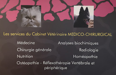 Cabinet Vétérinaire MEDICO-CHIRURGICAL DR SOUQUET à Treillières