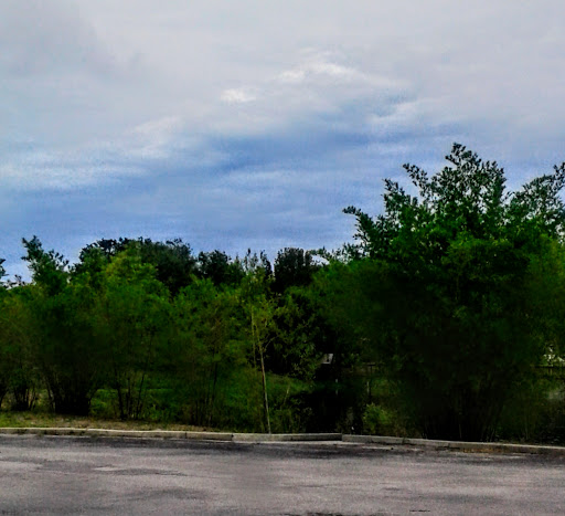 Discount Store «Big Lots», reviews and photos, 5584 Cortez Rd W, Bradenton, FL 34210, USA