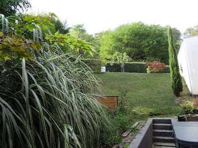 Taille à Dom' | Jardinage Service à la Personne à Anse