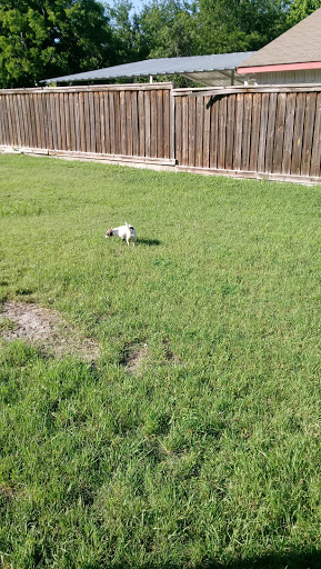 Park «Buckner Park», reviews and photos, 4550 Worth St, Dallas, TX 75246, USA