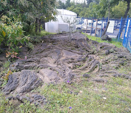 Reserva Ecológica del Pedregal de San Ángel photo