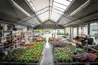 Guebey Fleurs à Cluses
