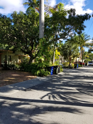 Art Gallery «National Geographic | Fine Art Galleries», reviews and photos, 607 E Las Olas Blvd, Fort Lauderdale, FL 33301, USA