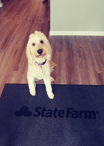 Insurance Agency «Dave Matheny - State Farm Insurance Agent», reviews and photos