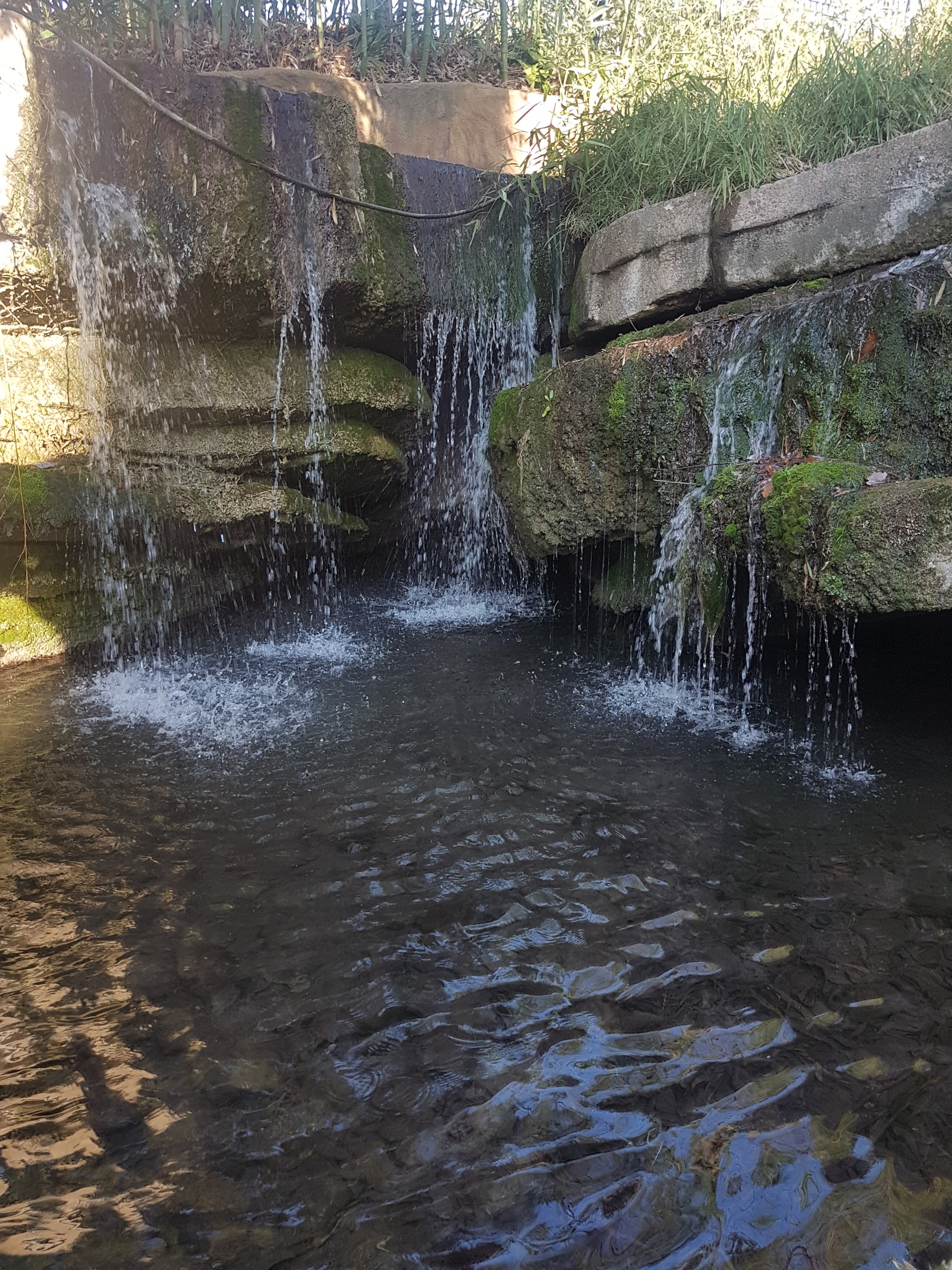 Photo n° 2 de l'avis de lorine.r fait le 13/01/2018 à 14:52