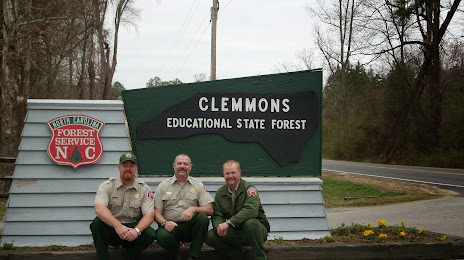 Tree Service Clayton
