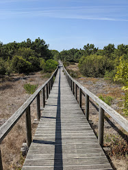 Reserva Natural das Dunas de São Jacinto